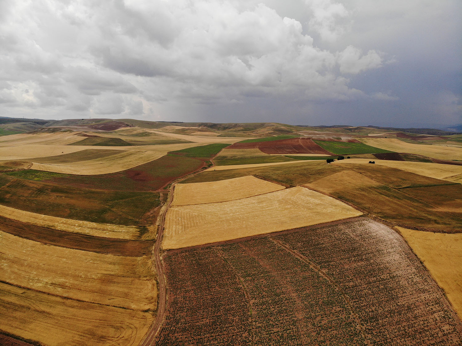 dji_0138-.jpg